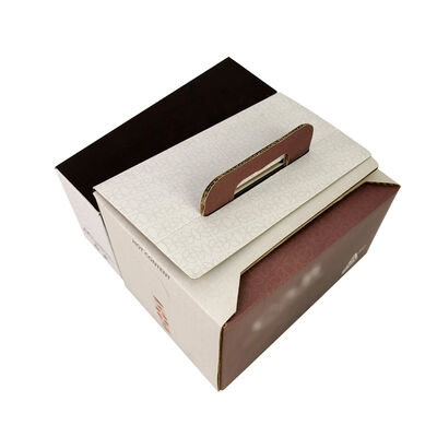 Customized Bag In Box Packaging Solutions Plastic Durable Leak Resistant Container for Liquid Storage and Transport